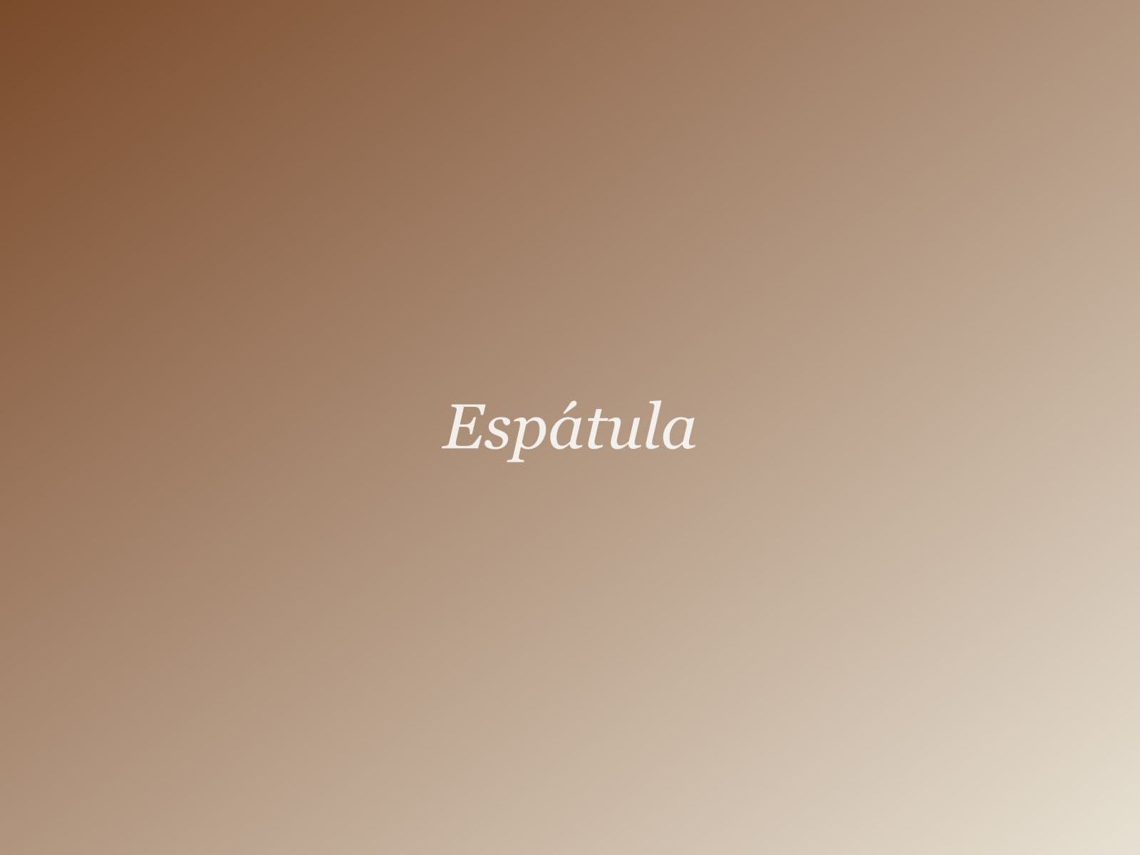 Espátula aplicando óleo espeso sobre un lienzo con textura